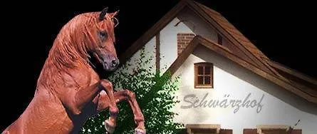 Vendégház Schwaerzhof 2*